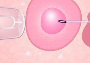 2026年汕头试管机构排名是怎么样的？