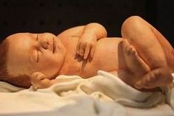 2026年想去永城市做试管婴儿需要准备哪些事？详细收费明细一览