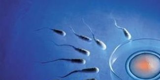 国内办三代试管婴儿多少钱？你为什么不过来看看呢？