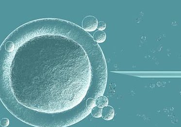 2026年在百色去海南慈铭博鳌医院做三代试管贵吗？需要花费多少钱？