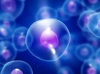 俄罗斯试管婴儿，费用低是王道，优劣势全面解析